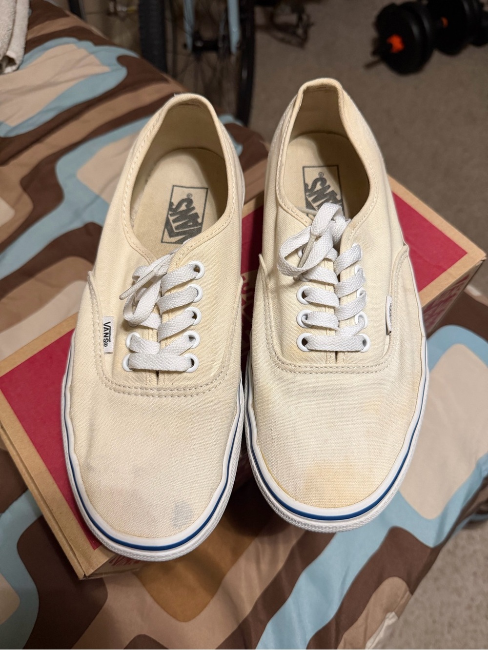 Vans Low-Top Canvas Sneakers in Cream